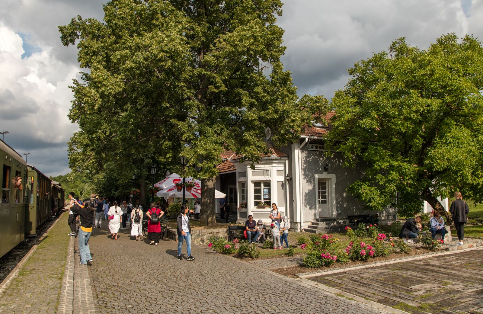 Панорама зелене долине око Мокре Горе